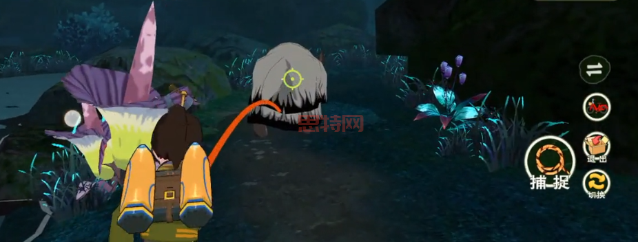 小森生活沙丁鱼获取攻略：六个海岛位置全解析