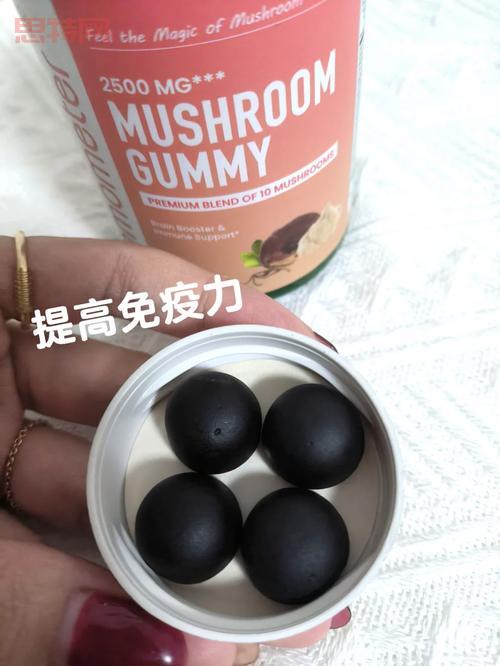 精简版:轻巧便捷,聊天无负担!