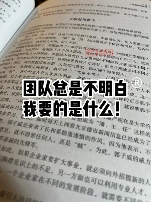 青云加点大揭秘：输出爆表，团队核心