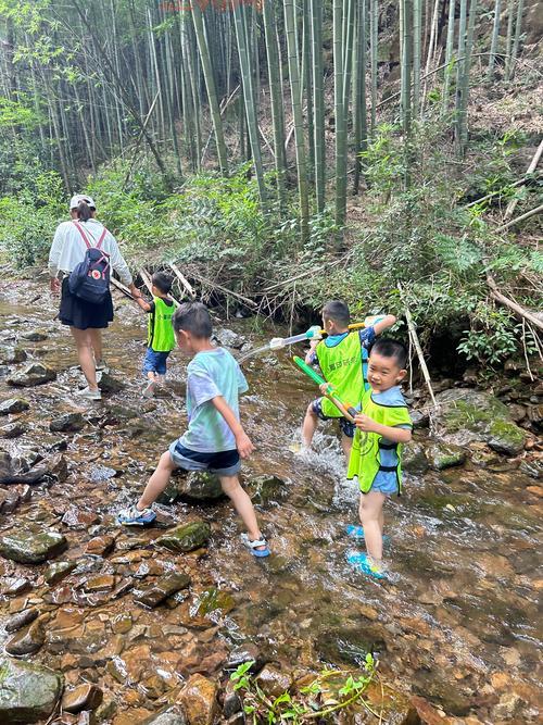 合金风暴2无限金币版:重温经典,体验无限乐趣!