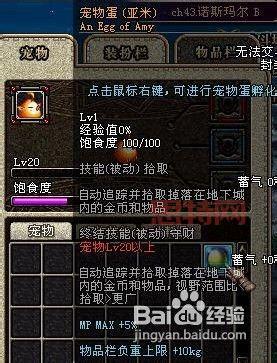 DNF宠物进化大揭秘：菲尼克斯是你的更佳选择？