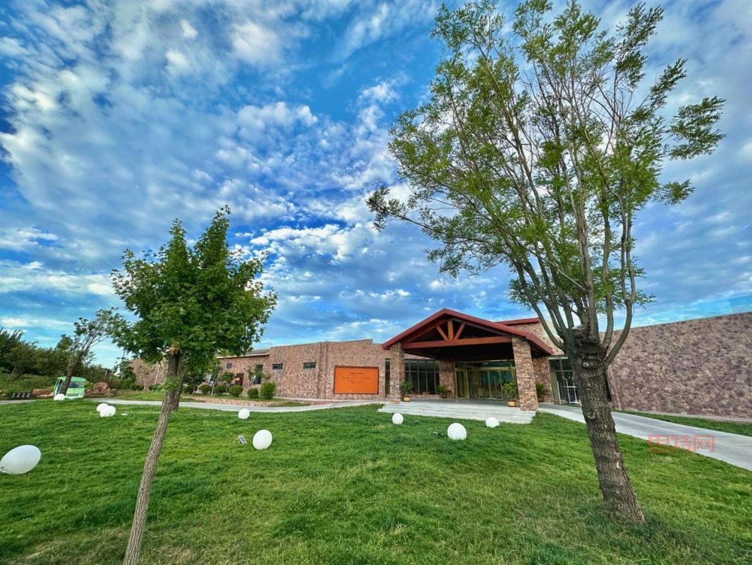 碰碰猫：可爱猫咪，消除游戏，尽享欢乐时光！