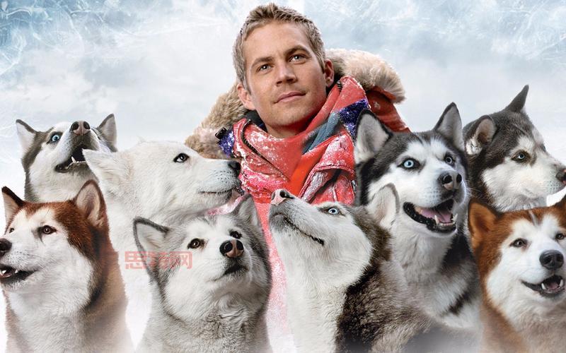 南极大冒险中文版下载：无限金币，畅玩南极冒险！