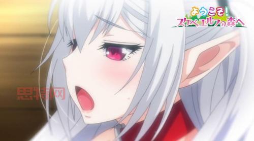 精灵之森大冒险20关：敌人分析，轻松应对挑战