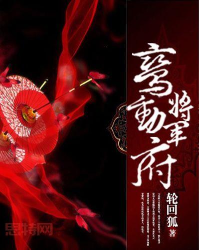 霹雳书坊:男频、女频、轻小说,总有一款适合你!