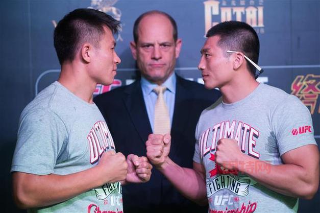 UFC2010游戏与赛事：震撼格斗体验和精彩回顾