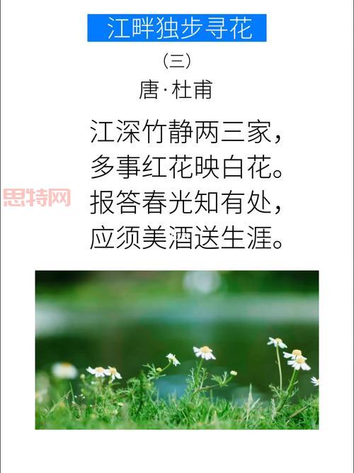 江畔独步寻花古诗意思解析与赏析