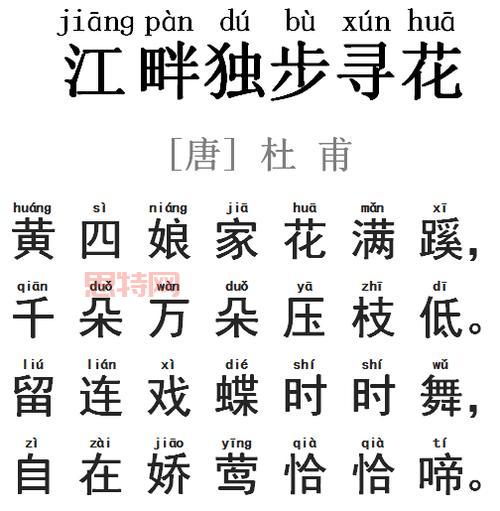 江畔独步寻花古诗意思解析与赏析