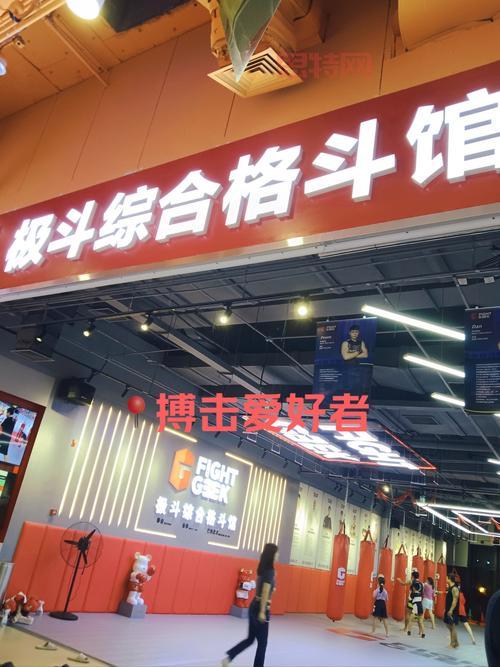 死或生4PC版下载与玩法详解：格斗游戏爱好者必备