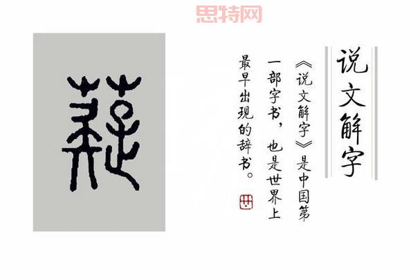 蕤怎么读?一文解析“蕤”的读音与文化背景
