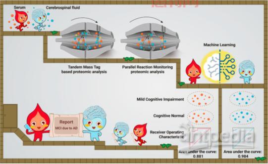 ad的多重含义:从广告到阿尔茨海默病