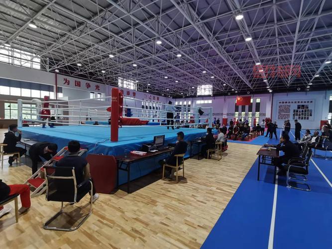 搏击之夜海峡两岸拳击对抗赛精彩回顾