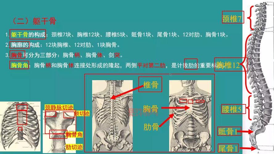 英文角名速记:一分钟学会12种常见角的英文