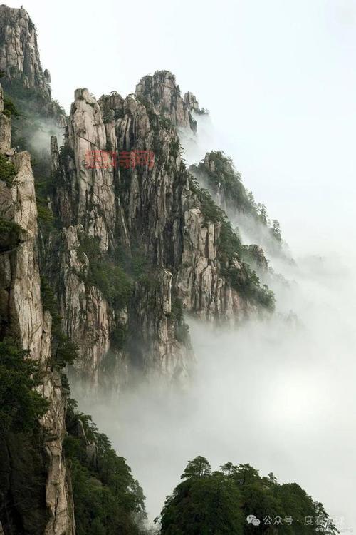 小游戏让子弹飞: 射击,挑战你的反应极限!