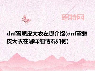 如何在DNF中获得雪魈皮大衣?顶级玩家攻略分享