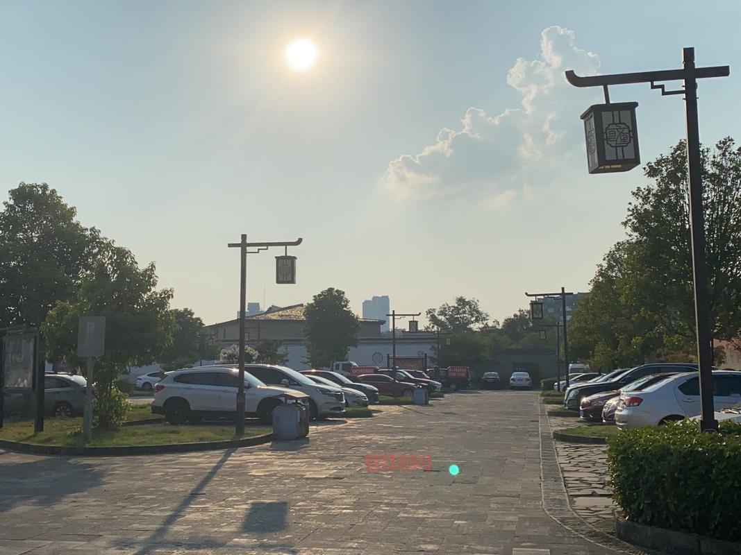 收获日2全地图攻略与策略：完美通关指南