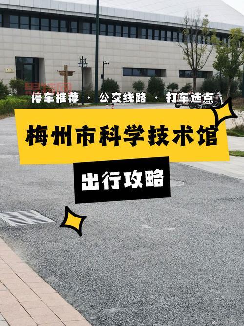 收获日2全地图攻略与策略：完美通关指南