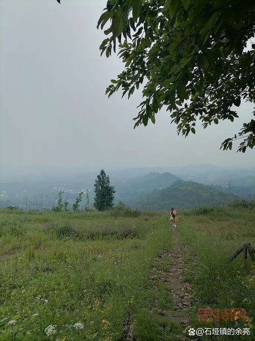 大天使之剑魔剑士智魔天赋加点,输出爆炸就这么点!