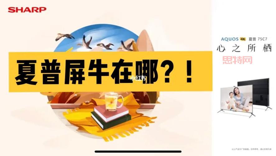 夏普破产原因解析：日本“液晶之父”如何走向衰退