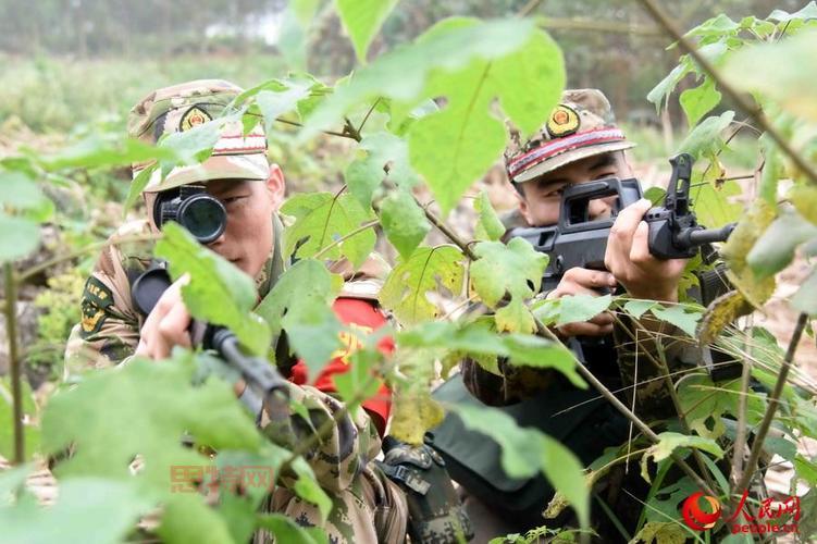 丛林狙击手：体验真实的丛林战斗与战术