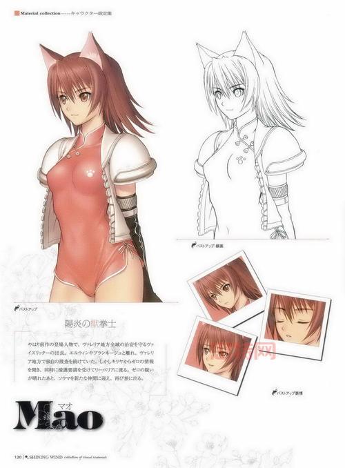 光明之风PS2经典回顾:心剑士的拯救之旅