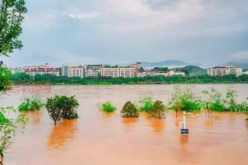 为什么会设立泄洪区?深入解读泄洪区的重要性