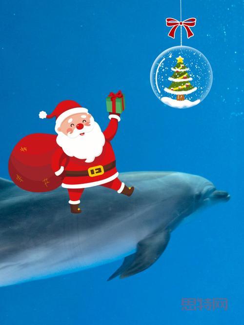 圣诞萌宠礼盒：如何获得乘雪橇的叮叮？