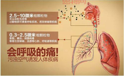 PM2.5污染的来源与治理:如何减少空气中的细颗粒物