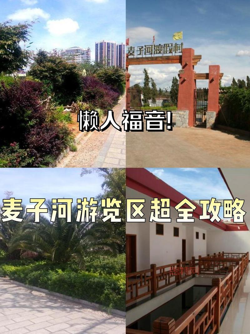 仙之侠道2六章卡关了？这份超详细攻略帮你通关！