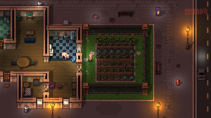 Streets of Rogue：探索像素世界中的无     之路