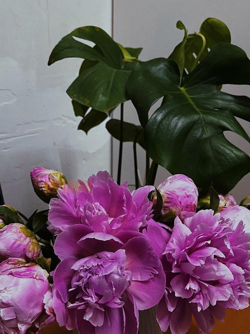 巴哈姆特之血游戏攻略：如何快速获取血脉觉醒材料