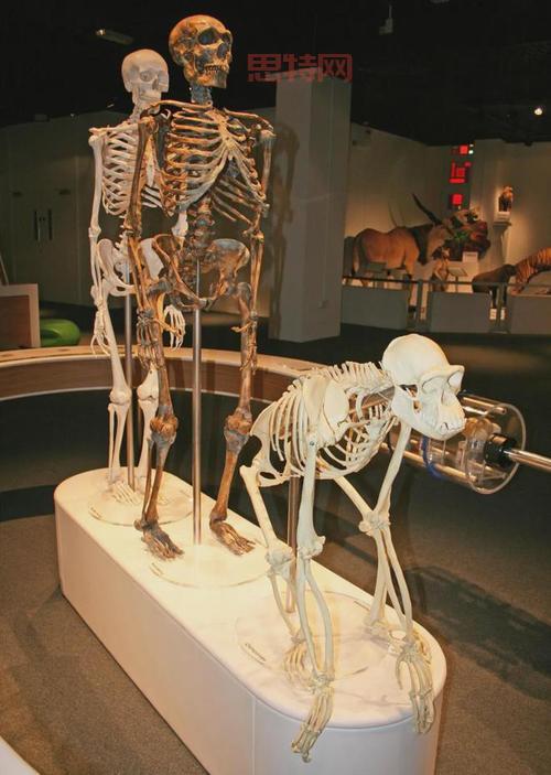 钱学森亲自命名VR为“灵境”，揭秘背后的深意与科学家浪漫