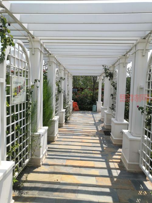 烈日传奇免费版