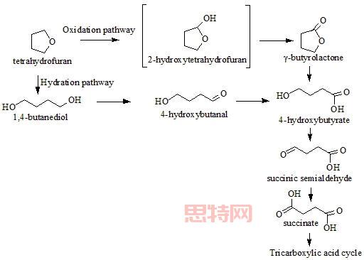 深入了解THF溶剂：四氢呋喃的用途与安全指南