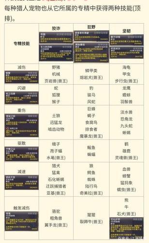 诛仙夜枭宠物解析：80级暴伤宠物获取与属性推荐