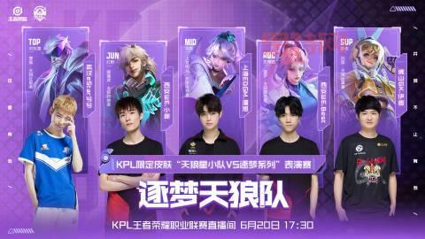 伽罗KPL皮肤高清图来了，天狼溯光者紫色特效太美！