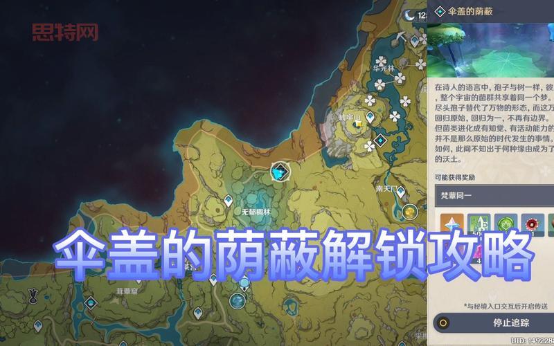 原神伞盖的荫蔽怎么开？完整解谜流程与位置解析