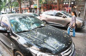 一羽月土米水日古余的成语解析：一塌糊涂