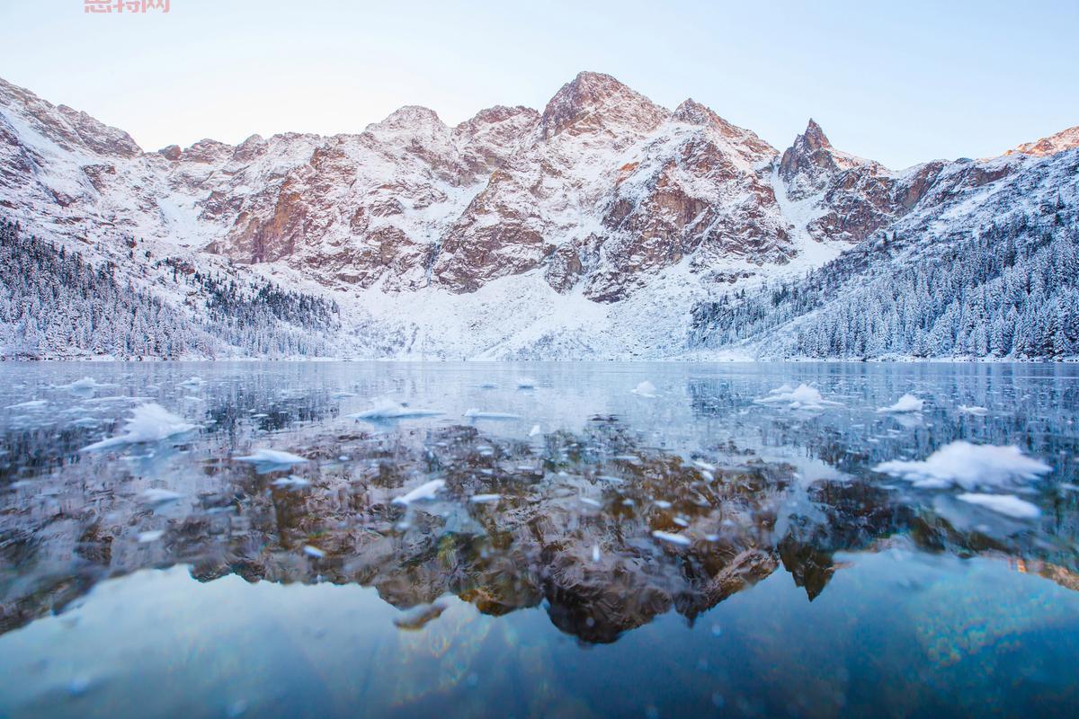 探索撞击冬季：在冰封世界中求生存的终极挑战