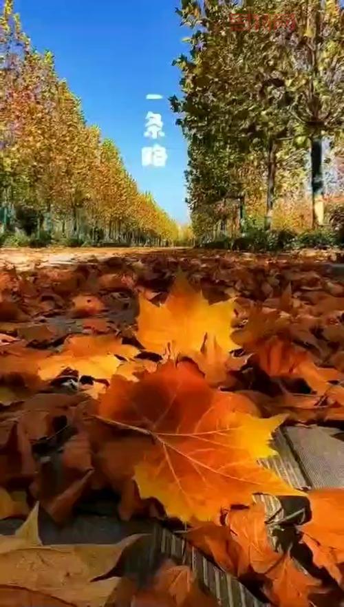 红尘的深意解析：从繁华都市到人间俗世