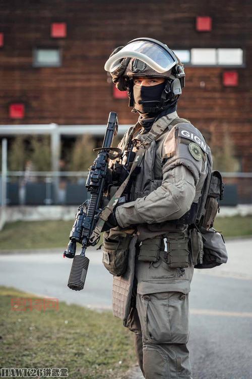 深入揭秘法国宪兵特勤队：世界顶尖反恐部队的实力展示
