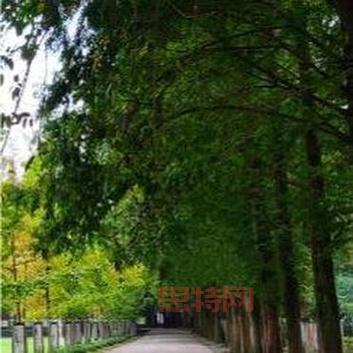 九阴真经     奇遇任务在哪接？这个地方你肯定想不到！