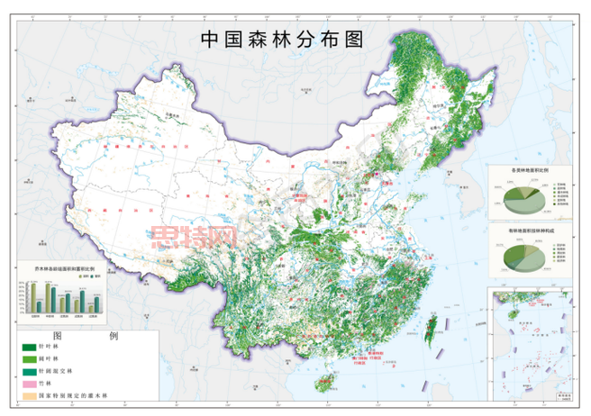 森林地图