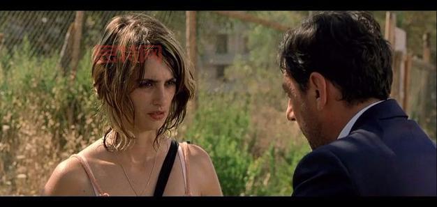 十大经典A级片，探索电影中的     魅力