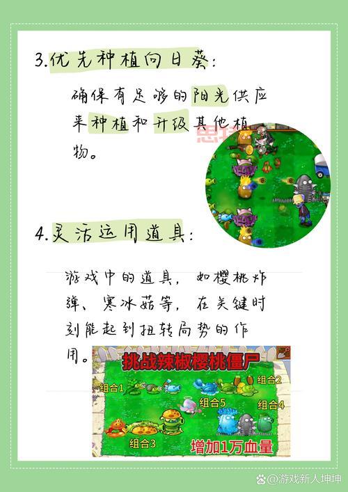 植物大战僵尸宝开难不难？超详细玩法技巧分享！