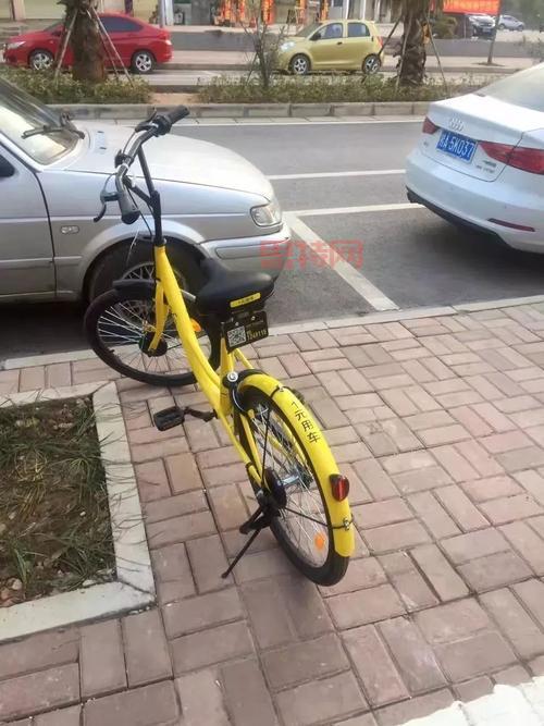 小黄车押金退还需988年？网友愤怒等待引热议