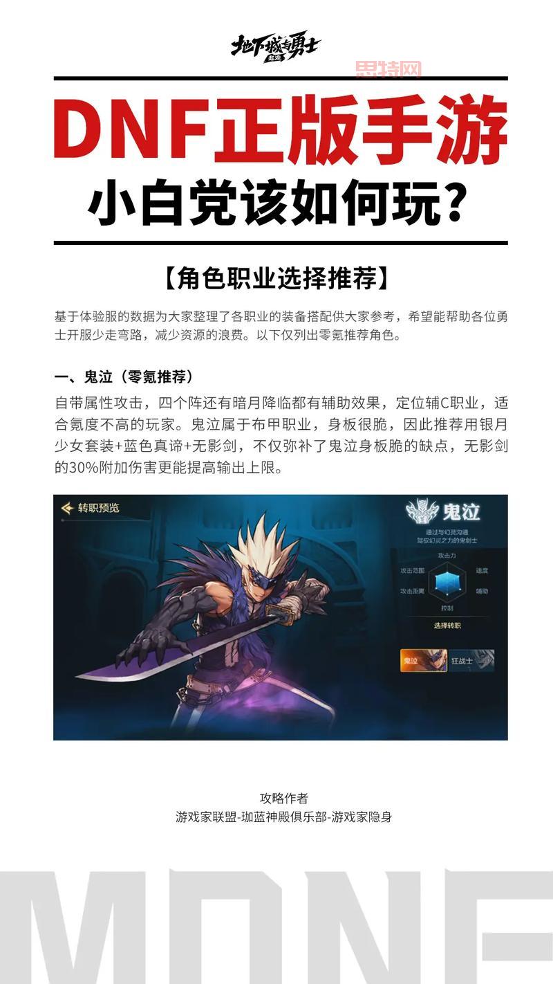 复仇者地下城与勇士新手必看,职业特点与玩法技巧全攻略