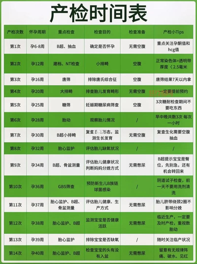 女王的皇冠2攻略：新手必备通关技巧全解