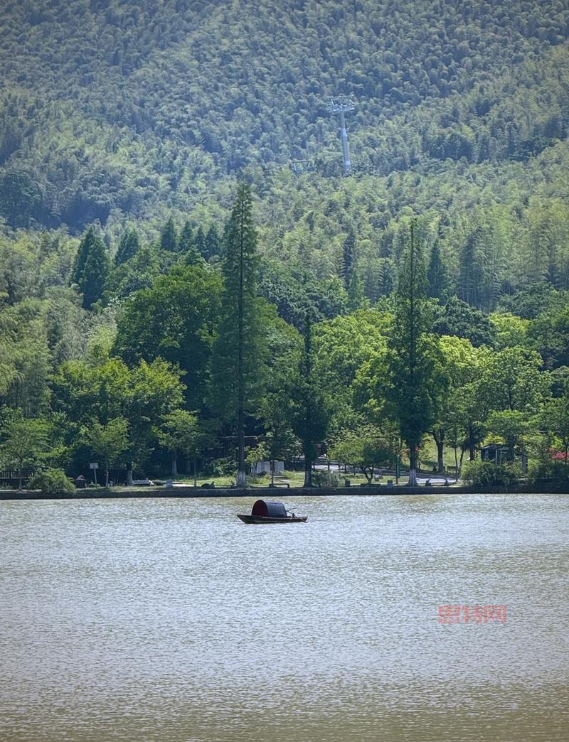 血色死亡战马的缰绳价格大揭秘,AH竟然只要这个数!