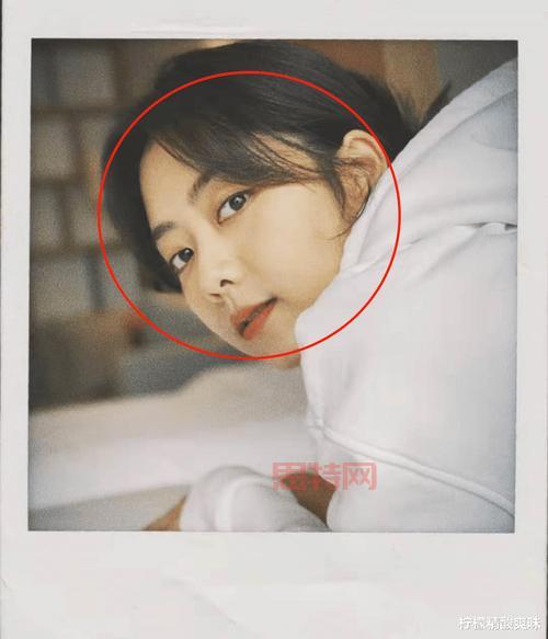 揭秘鹿鼎格格选秀背后的趣闻与谭松韵的独特魅力